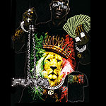 FUYA USA JERSEY TEE SHIRT RASTAFARI LIONS BLACK